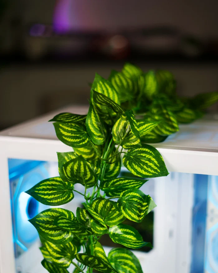 Leaf Branch - Image 1