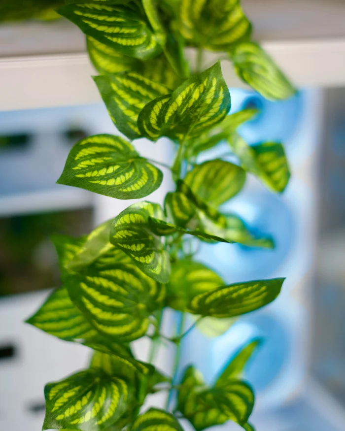 Leaf Branch - Image 3